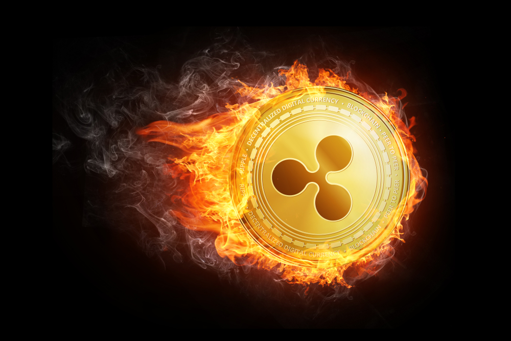 Ripple Price Down Almost 20%  What Goes up Must Come Down
