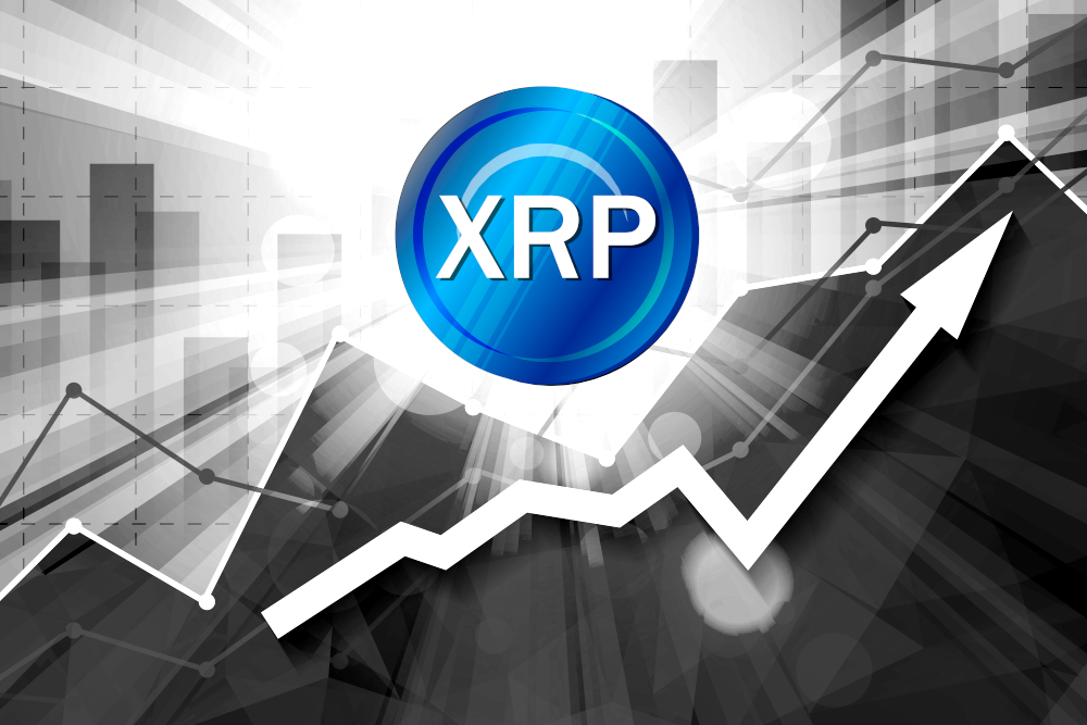 XRP Price on the Rise  up 8% in the Past 24 Hours