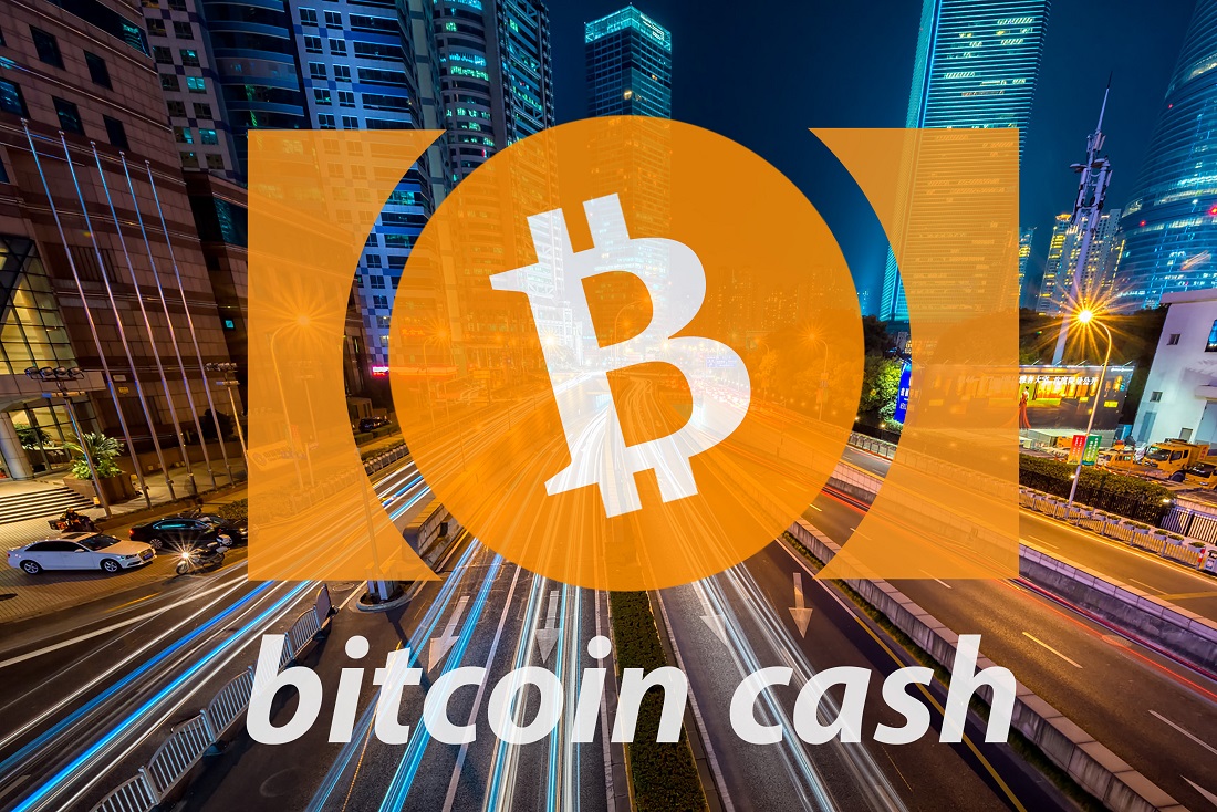  bitcoin cash price fork attention time surpasses 