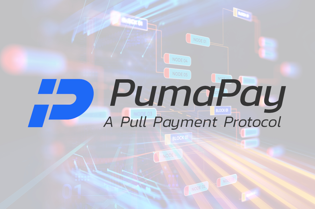  pumapay payment aspect protocols processing setting apart 