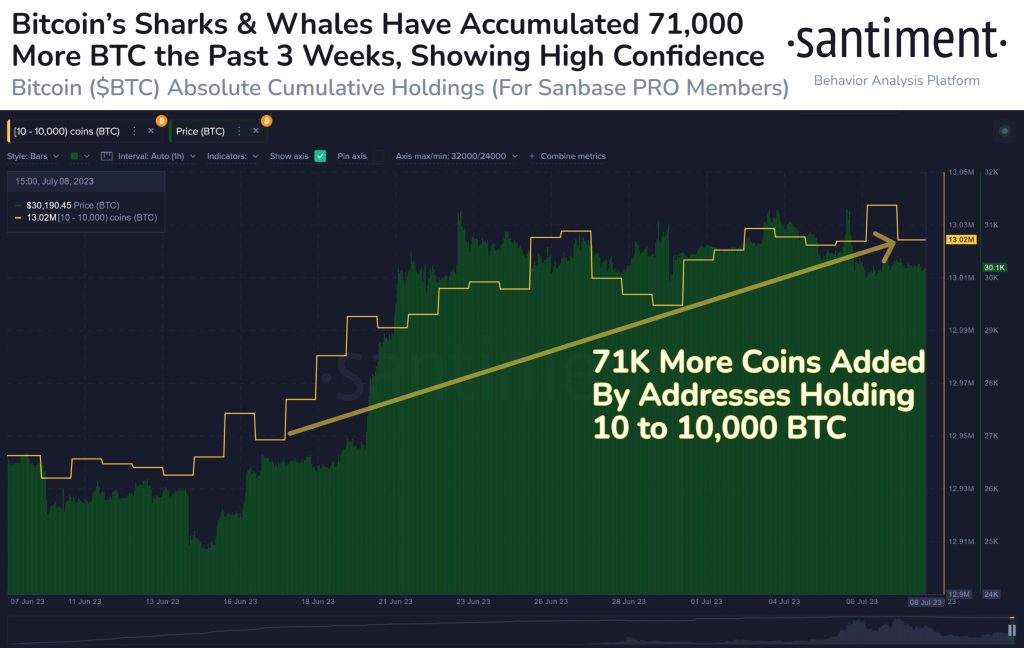 Bitcoin Whales Accumulation Continues