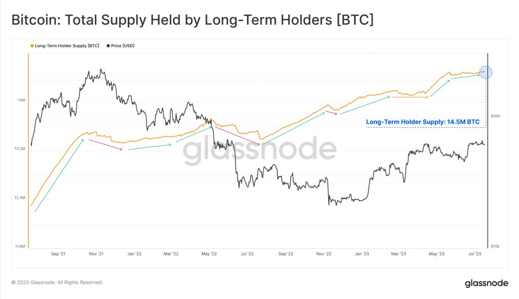  bitcoin long-term supply holder investors mature among 