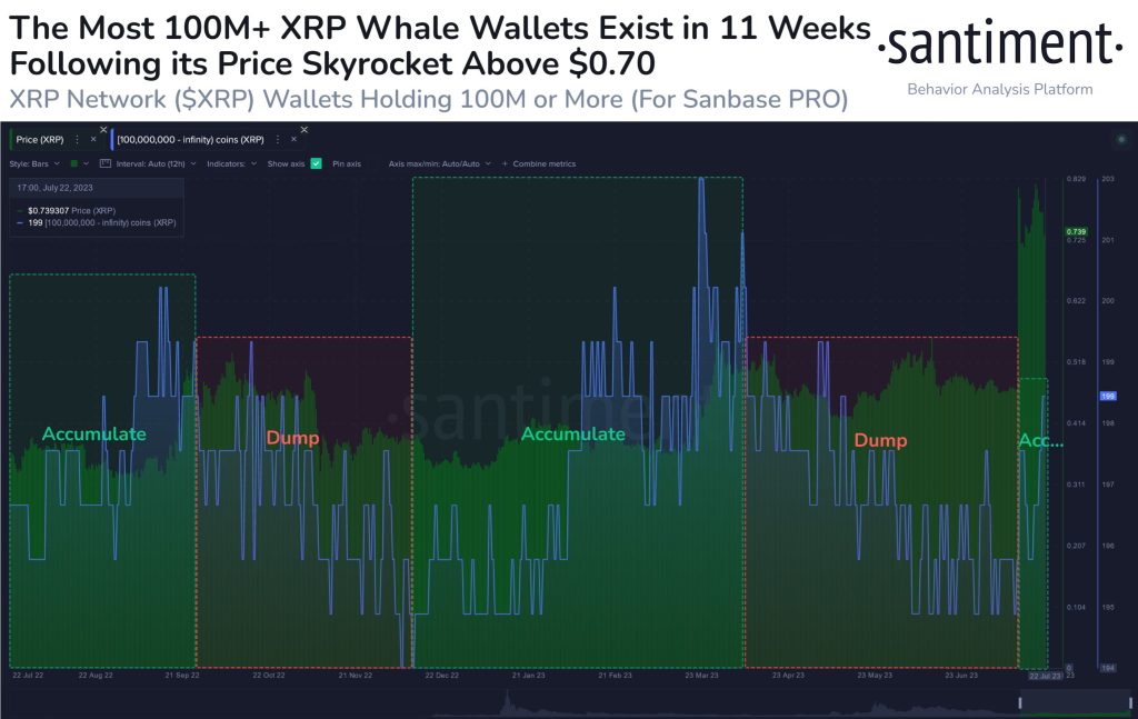 XRPs Surge: Whale Wallets And Legal Victory Impact