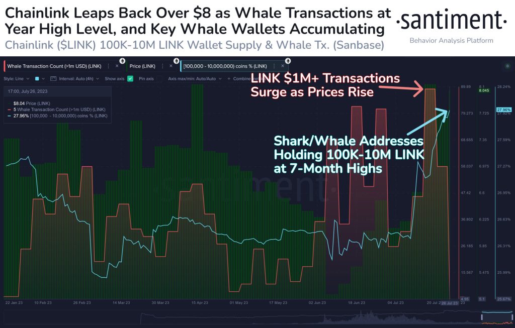 Link Whale Accumulation Continues With Massive Transactions Recorded