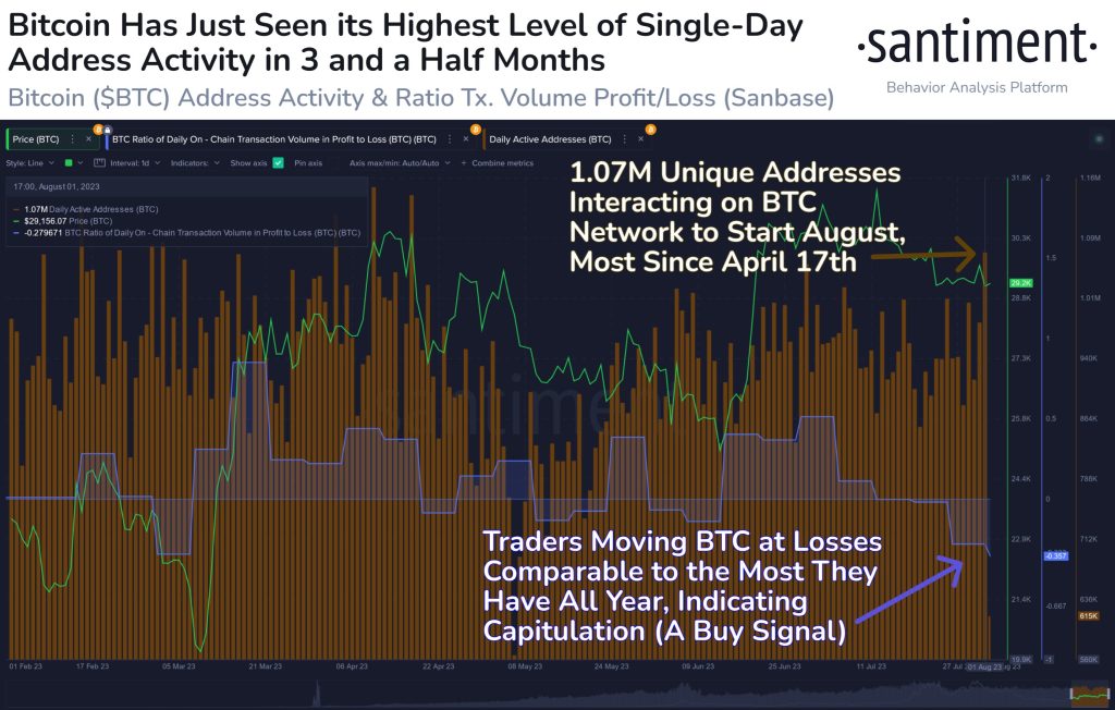  bitcoin address activity level months million approximately 