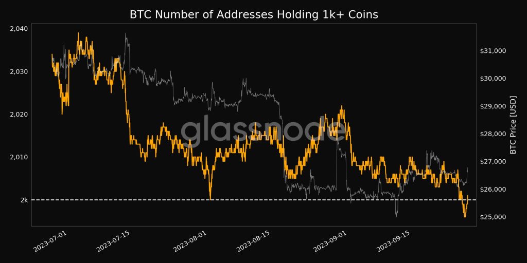 Bitcoins Whirlwind: Addresses Holding 1k+ Coins Surge Amid SEC Confrontation