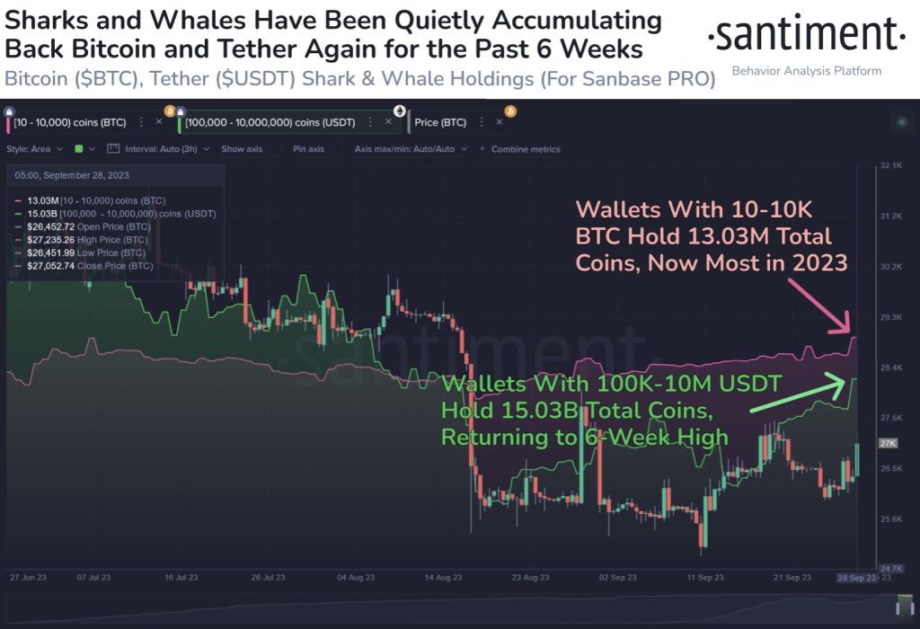 Bitcoin and Tether Whales Accumulation Hits 6 Week High, Signals Bullish Sentiment