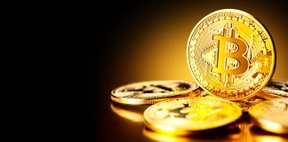 NulLTX Bitcoin Price Stable