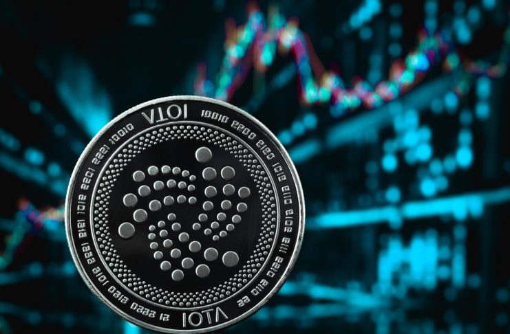 NulLTX IOTA Price Decline