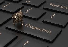 NullTX Dogecoin price Rise