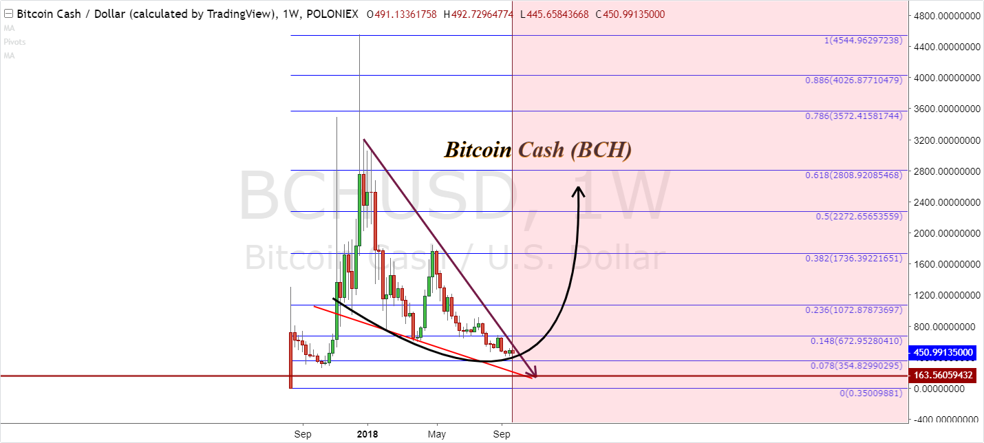 Prediction of bitcoin cash