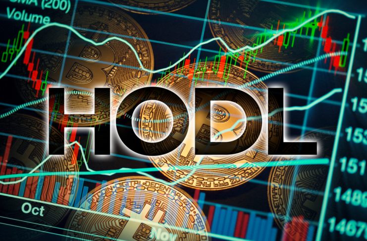 bitcoin hodl