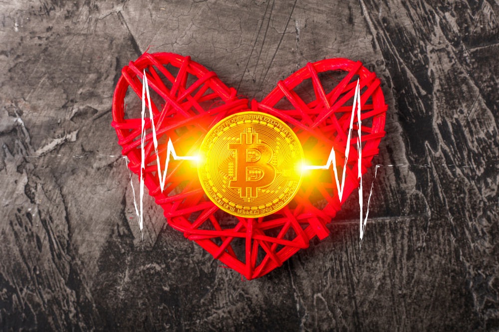 love bitcoin