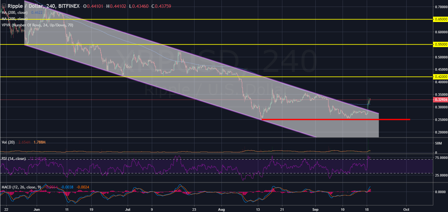 Will Xrp Price Rise Again : Will Xrp Rise Again 2021 / Ripple Price Prediction Ripple ... / Therefore, next year we will most likely see a smooth rise in the xrp coin.