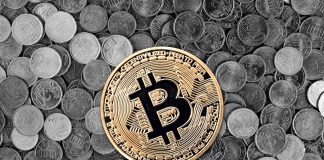 roger ver bitcoin exchange