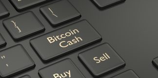 NullTX Bitcoin Cash Price