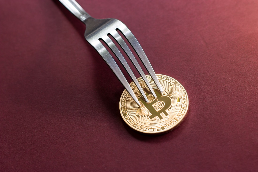 bitcoin fork 2019