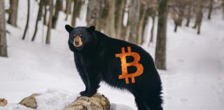 NullTX Bitcoin Price Bear