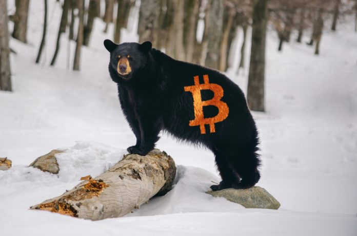 NullTX Bitcoin Price Bear