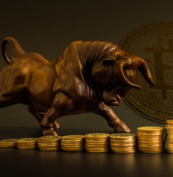 NullTX Bitcoin Cash price Bullish