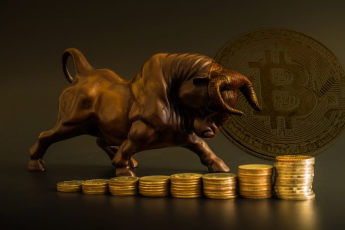 NullTX Bitcoin Cash price Bullish