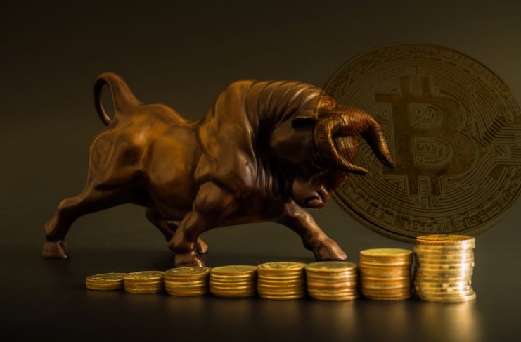 NullTX Bitcoin Cash price Bullish