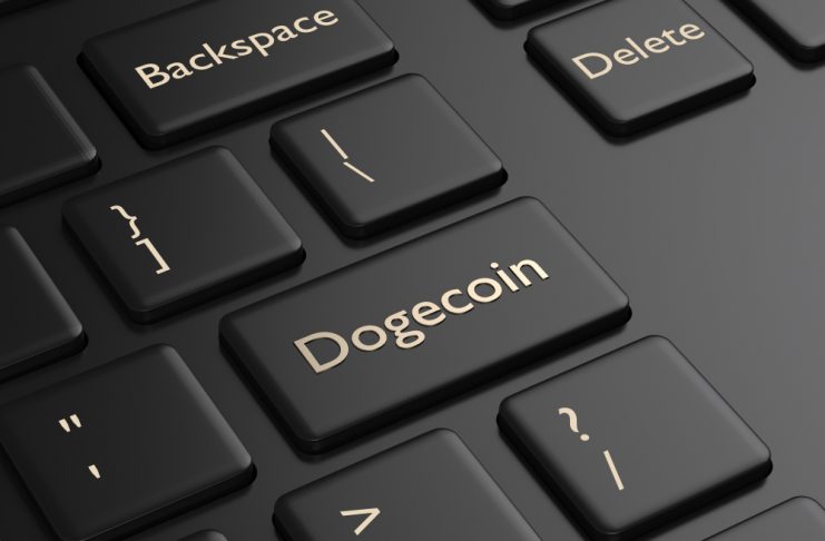 NullTX Dogecoin Price Surge