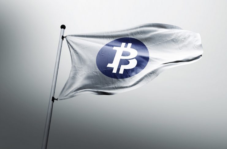 bitcoin private flag