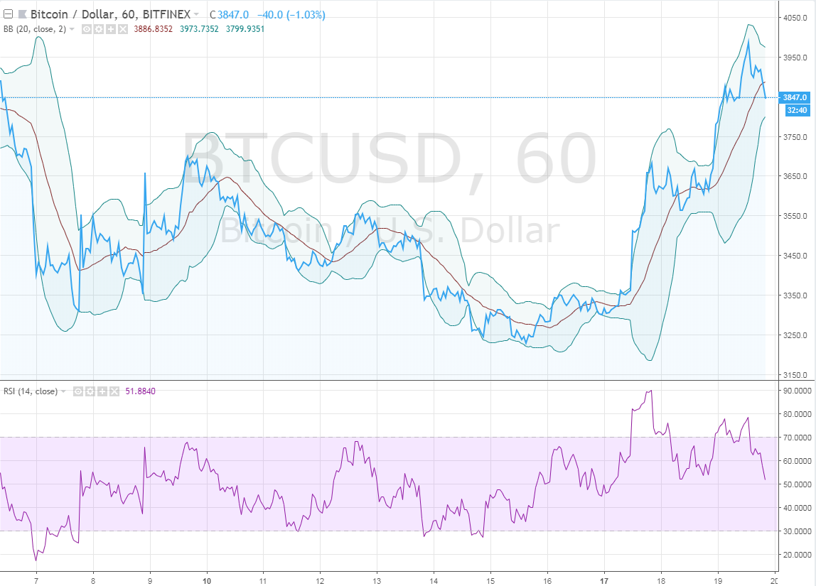 bitcoin price