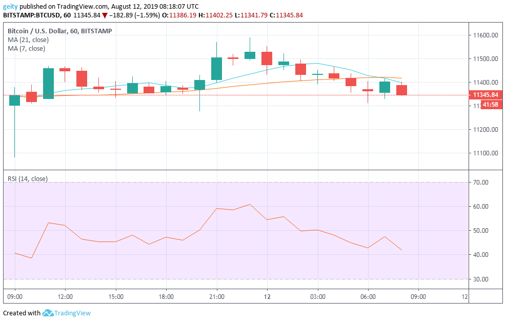 Bitcoin prediction august