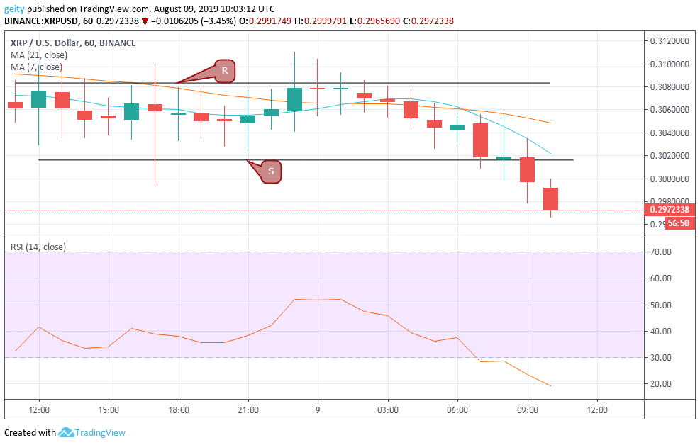 Bitcoin cash 24 hour prediction