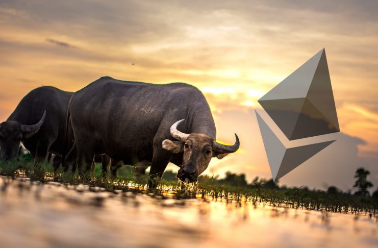 ethereum bulls featured