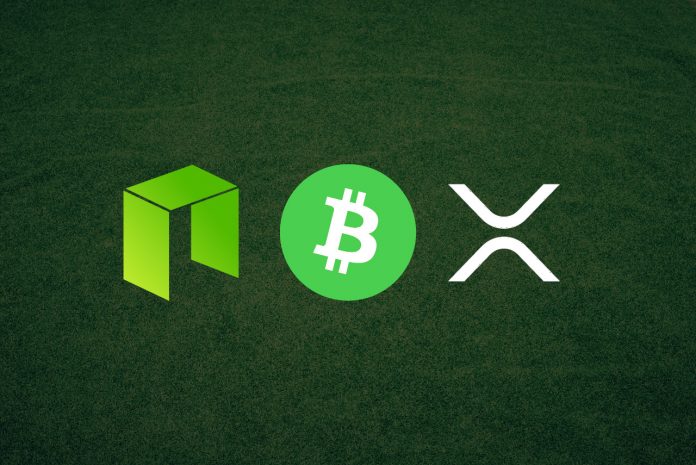 neo bitcoin cash ripple price