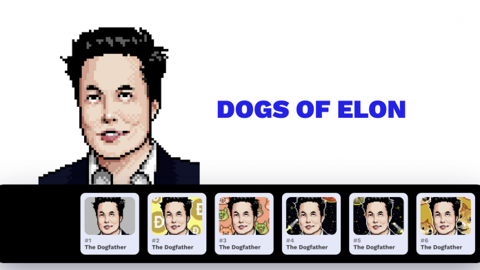 dogs of elon