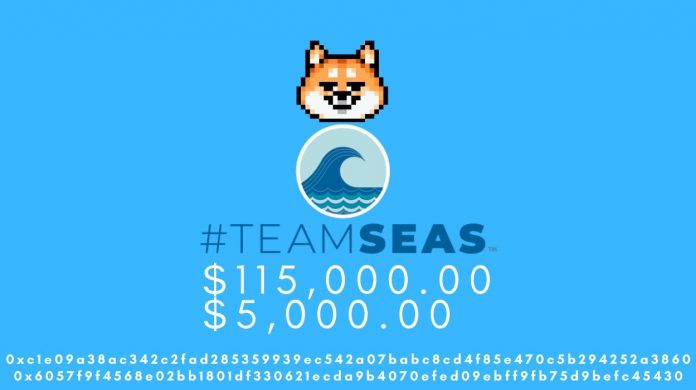 #teamseas