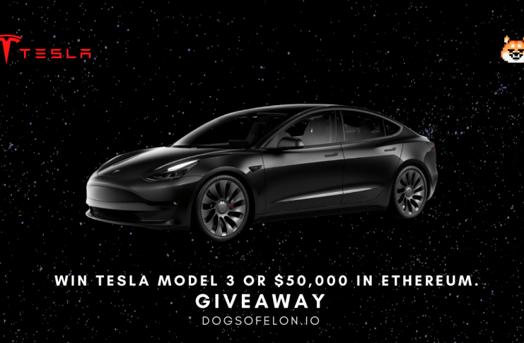 dogs of elon tesla giveaway