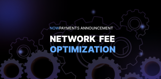 Network Fee Optimization Solution by NOWPayments