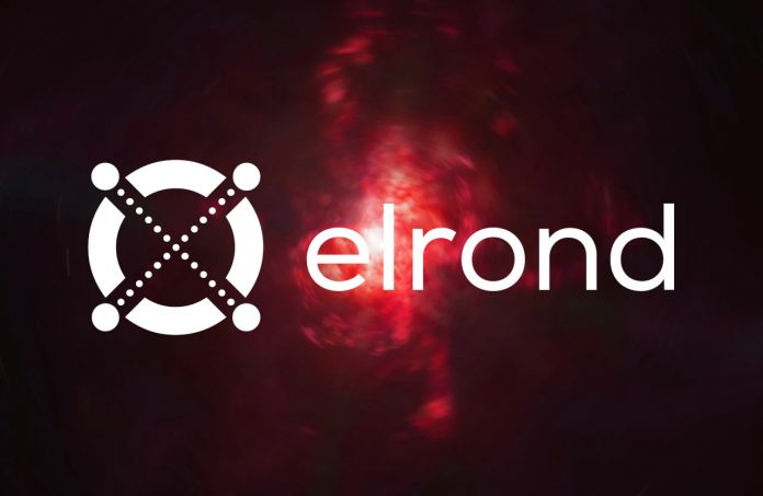 elrond egld ecosystem cryptocurrencies