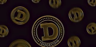 dogechain projects