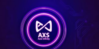 axie infinity