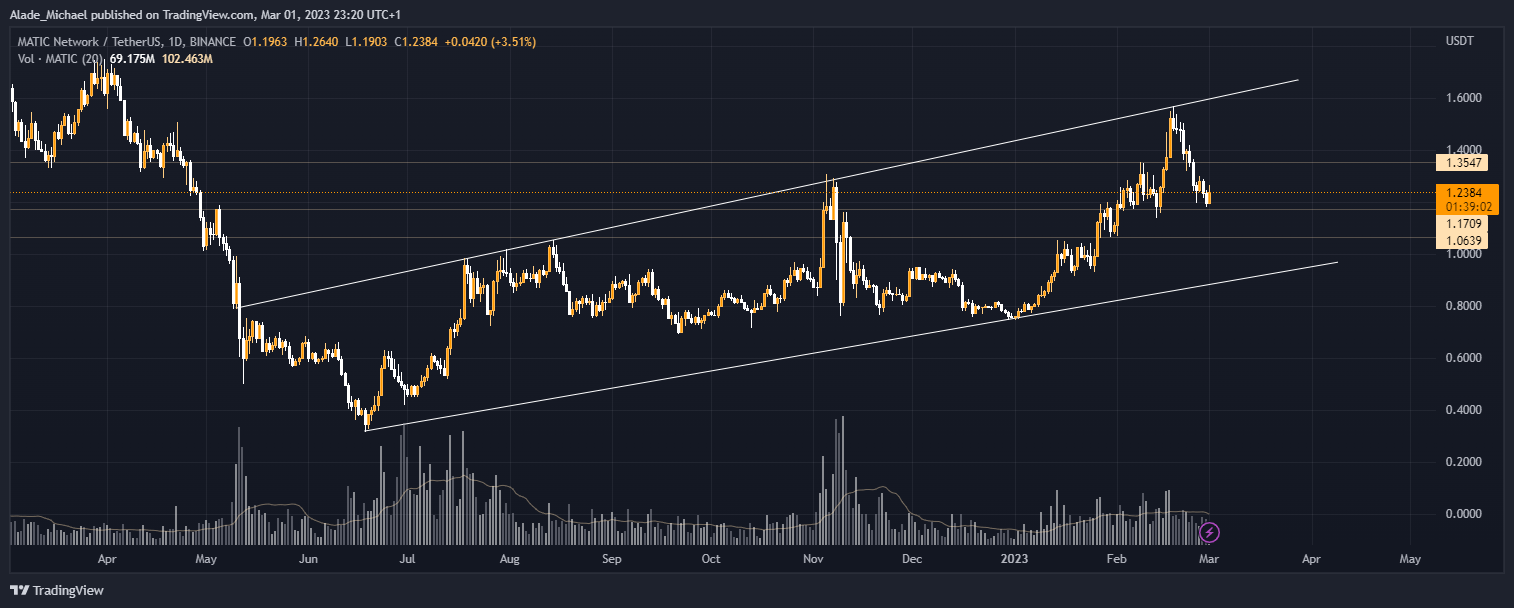 polygon price analysis