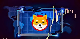 shiba inu