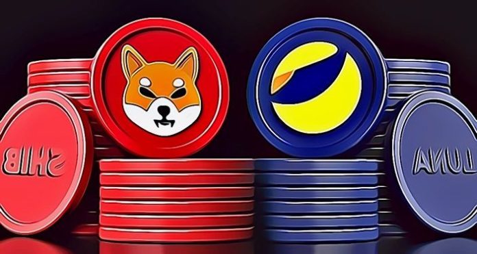 shib luna