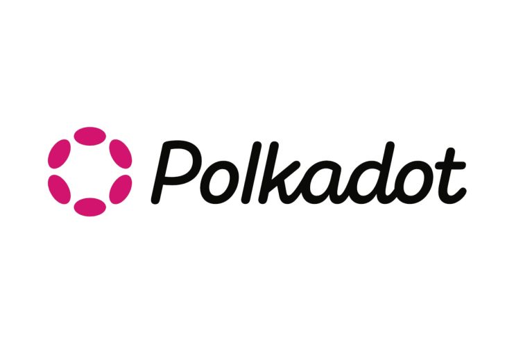 polkadot logo