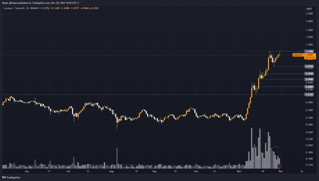 Cardano