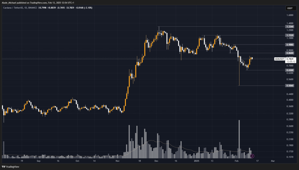 Cardano